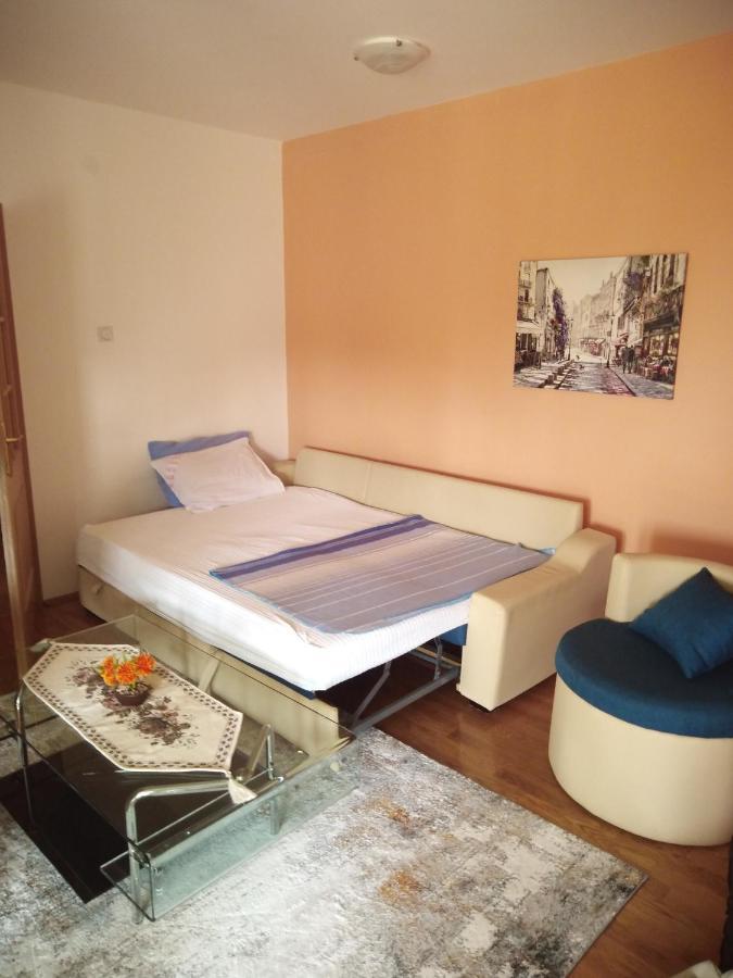 Apartman Ozi Petrovac Ngoại thất bức ảnh