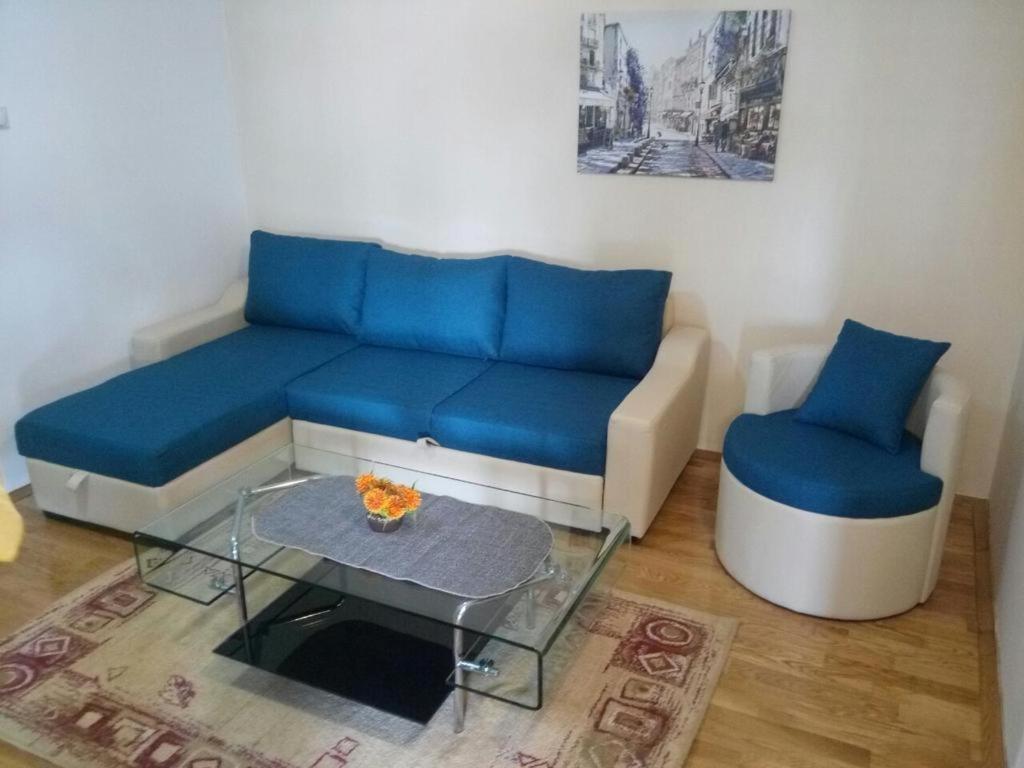 Apartman Ozi Petrovac Ngoại thất bức ảnh